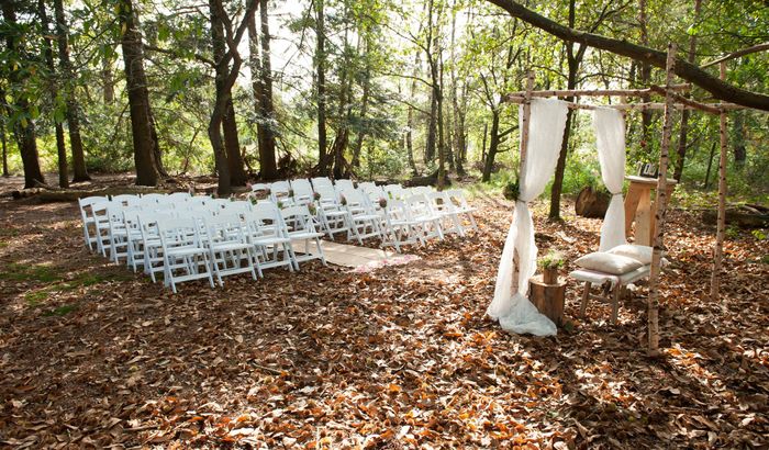 Wedding Venues in the Forest